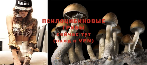 прущие крисы Алзамай