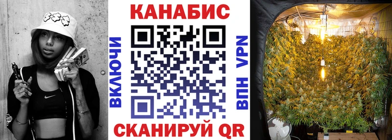 Шишки марихуана гибрид  площадка состав  мега tor  Ростов  продажа наркотиков 